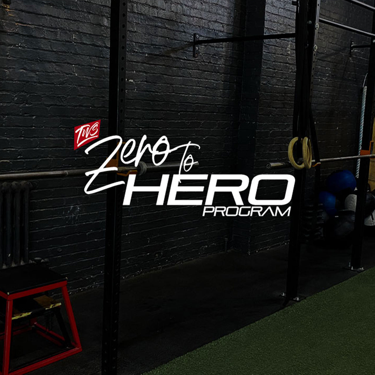 TWS Zero-To-Hero Program