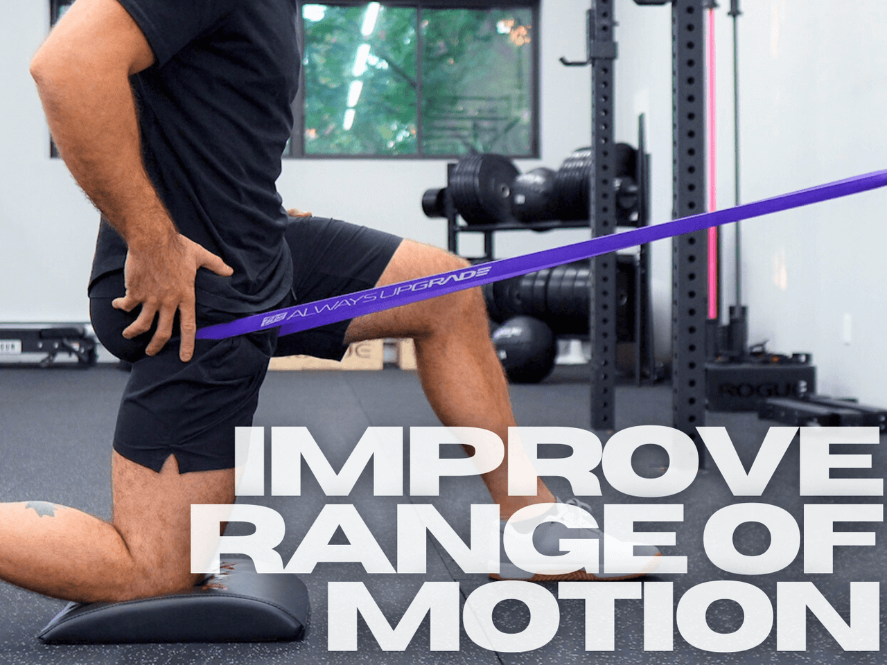 TWS Low Back Program