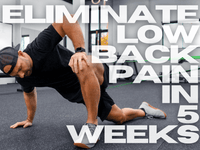 Thumbnail for TWS Low Back Program