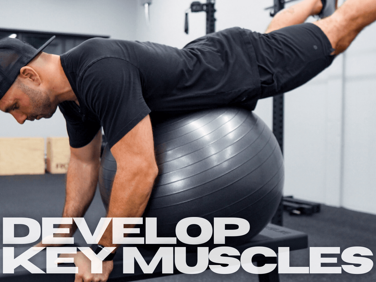TWS Low Back Program