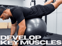Thumbnail for TWS Low Back Program